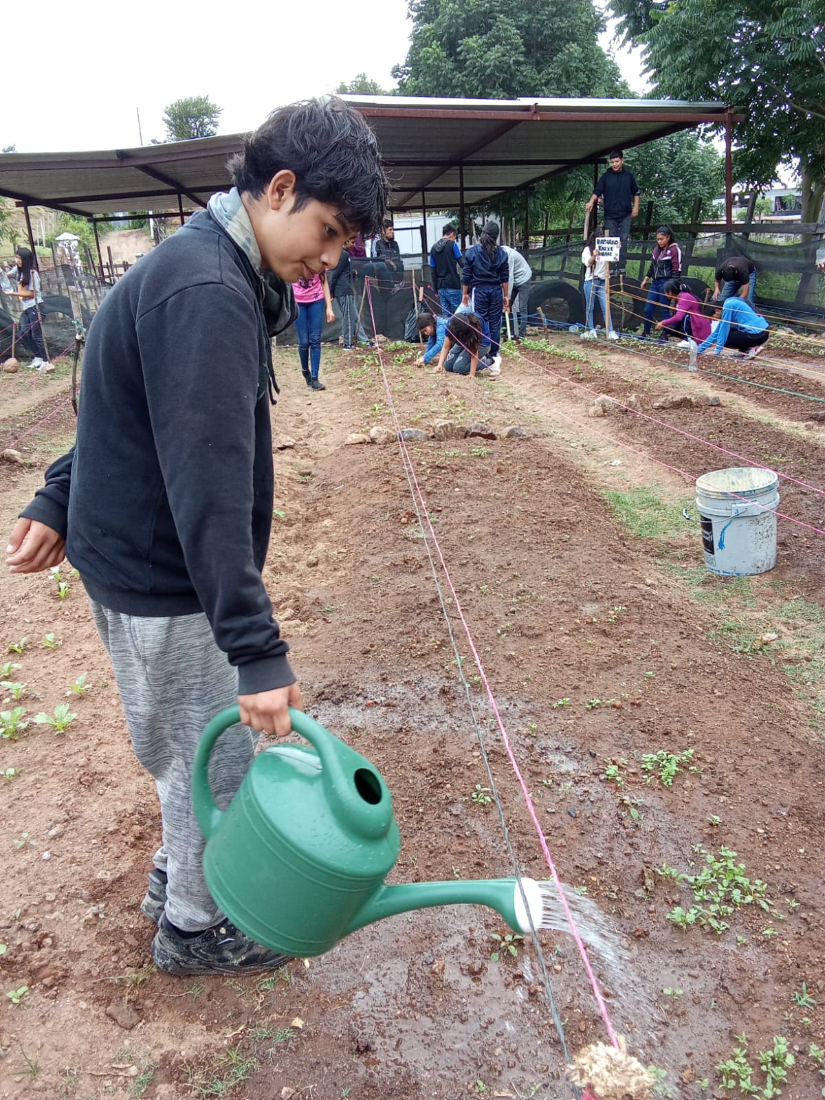 Youth watering plants